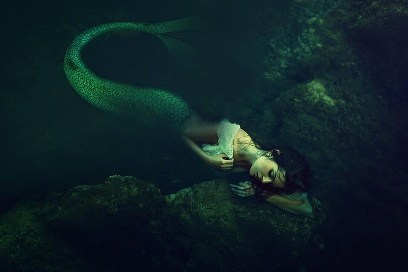 Mermaid's Seaside Delights