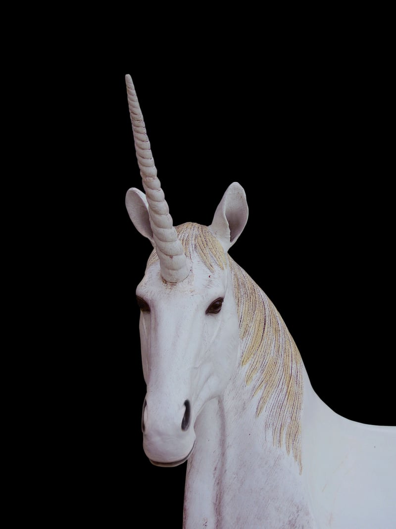 Unicorn Meadows Spa